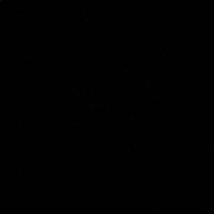 Meet your Posher, Gabby